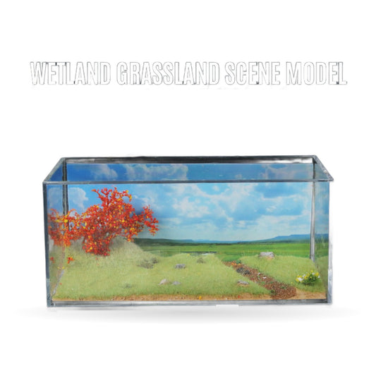 1:64 Wetland Meadow Diorama